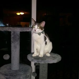 Meet your Posher, Johana